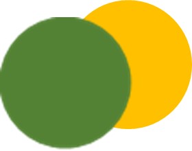 green and amber intersecting circles